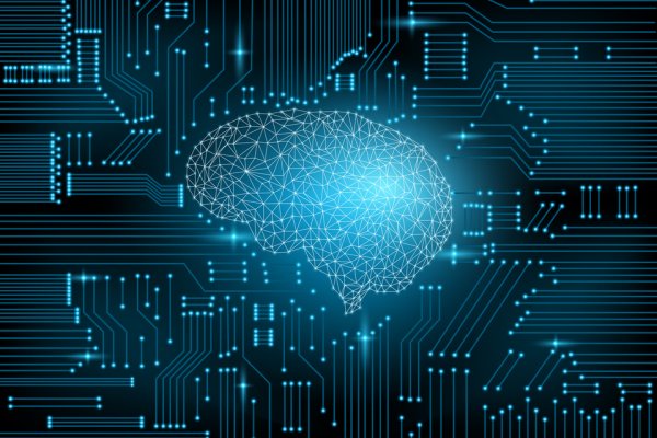 Тор для кракена